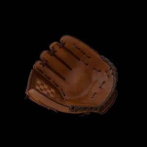Baseball Glove